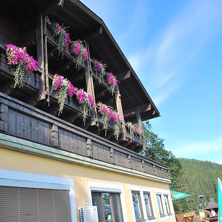 Pension Savisalo Ramsau am Dachstein Ngoại thất bức ảnh